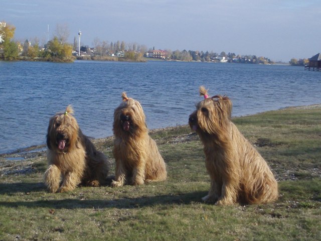 vesely dvor.jpg